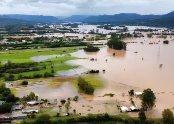 Enchentes geram perdas de quase R$ 3,7 bilhões para agropecuária no RS