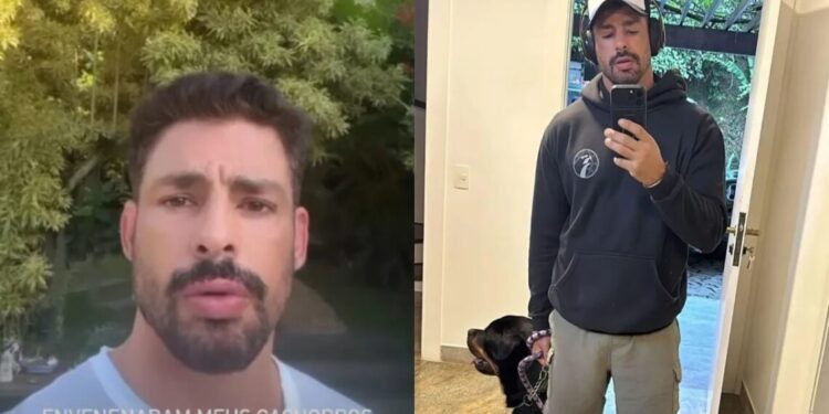 Cauã Reymond diz que um dos cães envenenados segue internado: “Se recuperando”