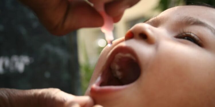 Poliomielite pode voltar no Brasil? Veja riscos e saiba como prevenir