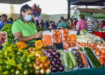 crédito foto: Lia Mara/Secom Palmas