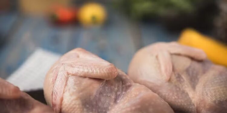 Preços da carne de frango acumulam queda em maio