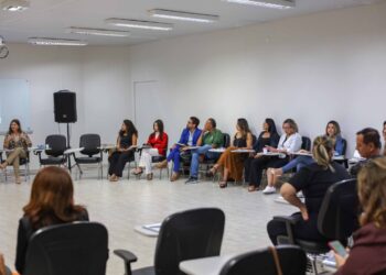 crédito foto: Francisco Barros / Secom Palmas