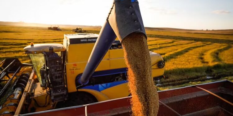 Conab reduz em 7% estimativa de produção de grãos em 2023/24