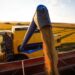 Conab reduz em 7% estimativa de produção de grãos em 2023/24