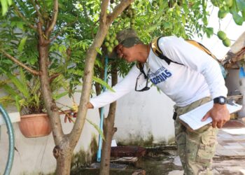 crédito foto: Lia Mara/Secom Palmas