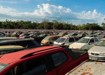 Veículos poderão ir a leilão — Foto: Felix Carneiro/Governo do Tocantins