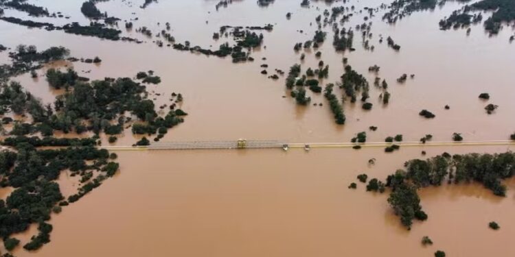 Agropecuária do RS contabiliza prejuízos de R$ 4,4 bilhões com enchentes