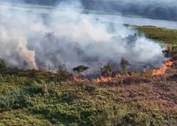 Focos de incêndio no Pantanal sul-mato-grossense CBMMS/Divulgação
