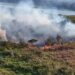 Focos de incêndio no Pantanal sul-mato-grossense
CBMMS/Divulgação