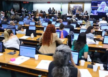 Tema está na pauta de terça (18) da CCJ da Câmara Vinicius Loures/Câmara dos Deputados