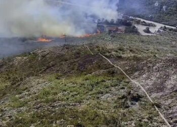 Incêndio atinge Parque Nacional do Itatiaia no dia do aniversário de 87 anos Reprodução