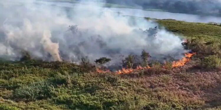 Forças Armadas darão apoio em combate a incêndios no Pantanal e Amazônia
