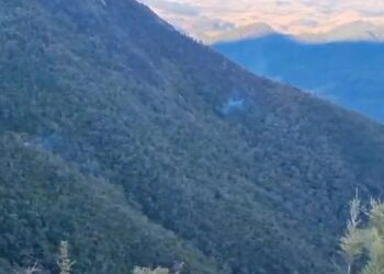 Segundo o gestor do parque:, risco de incêndio ainda é alto e monitoramento vai continuar. Corpo de Bombeiros