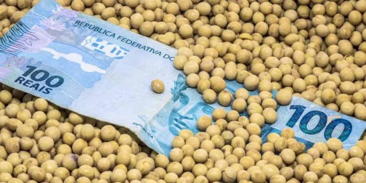 Começam negociações para o novo Plano Safra