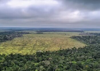 Desde o início do ano, o governo do estado diz ter trabalhado em um plano de ação para enfrentamentos os impactos da seca Polícia Federal