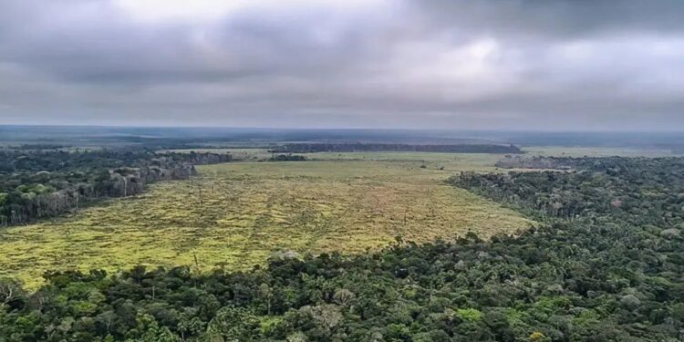 Defesa Civil do Amazonas prevê antecipação do período de seca no estado