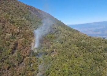 MPF abre investigação sobre origem de incêndio no Parque Nacional do Itatiaia Reprodução