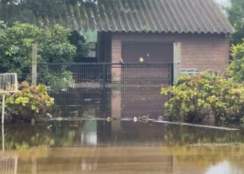 RS: Governo libera R$ 689,6 milhões em benefício a famílias; saiba quem tem direito
Patrícia Porciúncula/CNN