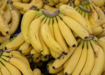 Banana teve a maior queda entre as cotações das frutas — Foto: Canva/ Creative Commoms