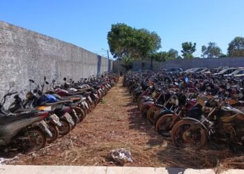 Veículos e sucatas podem ser visitados no pátio da Sesmu — Foto: Divulgação