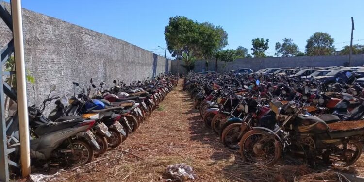 Veículos e sucatas podem ser visitados no pátio da Sesmu — Foto: Divulgação