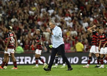 Tite no meio do campo após comemorar com a torcida a vitória no último minuto contra o Bahia — Foto: André Durão
