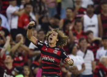 David Luiz comemora o gol da vitória do Flamengo sobre o Bahia — Foto: Marcelo COrtes / CRF
