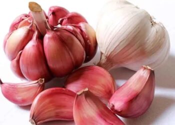 O consumo de alho ajuda a proteger as células do cérebro e a diminuir os danos causados pelos radicais livres