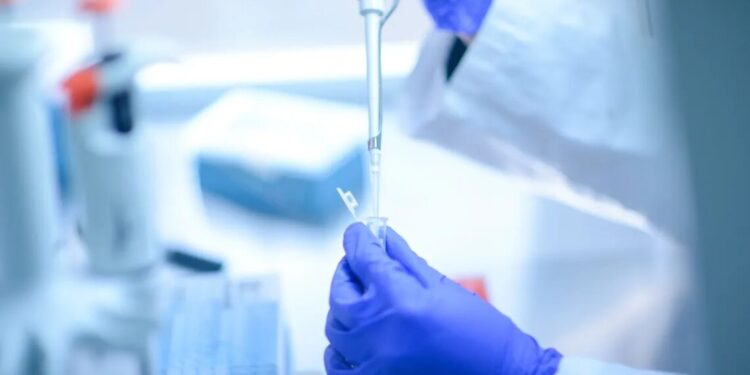 Pesquisadores brasileiros realizaram estudo combinando duas drogas com ação promissora contra tumores; testes clínicos serão realizados nos Países Baixos
CMB/Getty Images