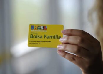 Em Brasília, técnicos da área econômica estimam que o pente-fino poderia cortar até R$ 20 bilhões em despesas anuais
Senado Federal/Wikimedia Commons