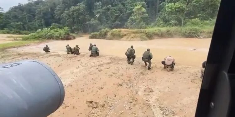 Operação contou com 12 militares das Forças Armadas, dois agentes do IBAMA e dois agentes da PF
Divulgação