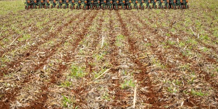 Plano safra 24/25: tamanho do corte de juros é a dúvida do setor agropecuário