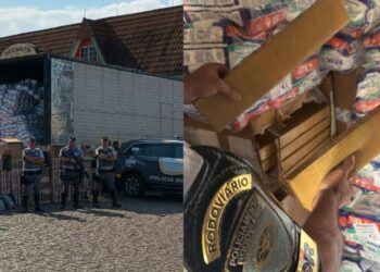 Montagem mostra imagens da ação que apreendeu cerca de uma tonelada de maconha em meio a carregamento de fraldas
Divulgação/Polícia Militar Rodoviária