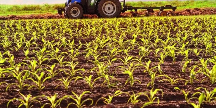 Lula pede ‘linha específica’ para o Plano Safra, afirma Haddad