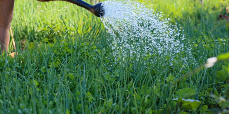 crédito foto: Regiane Rocha/Secom Palmas