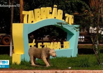 Entrada da cidade de Tabocão, no Tocantins — Foto: Reprodução/TV Anhanguera