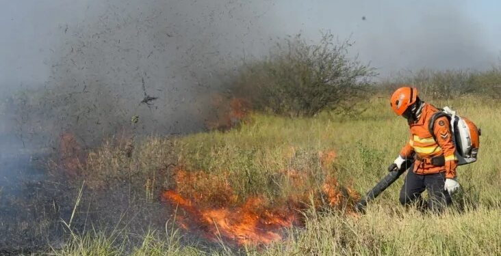 Imagens mostram dimensão dos incêndios no Pantanal