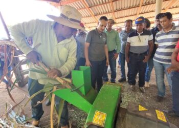 Como apoio do Senar, chácara em Araguatins passou a conseguir lucro com a produção de leite