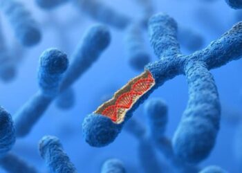 Na síndrome de Patau, há um 13º cromossomo a mais, o que gera uma série de repercussões à saúde