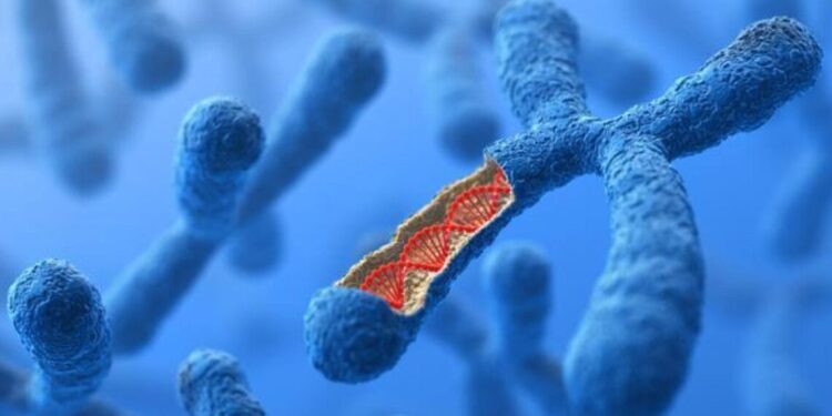 O que é a Síndrome de Patau, condição do filho de Zé Vaqueiro que morreu aos 11 meses