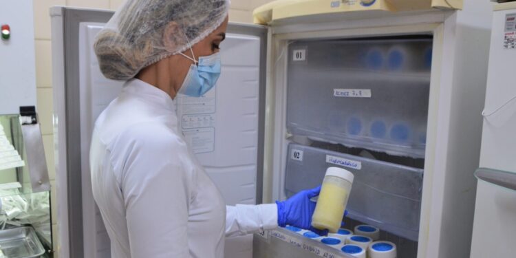 No Agosto Dourado, SES-TO incentiva o aleitamento materno