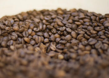 Crédito: Marcello Casal Jr/Agência Brasil