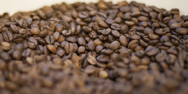 Novo padrão de qualidade do café torrado já está valendo