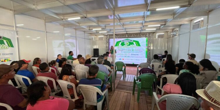 Governo do Tocantins apresenta tecnologia de produção de abelhas na Feira da Colheita em Sampaio