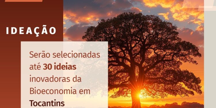 Sebrae anuncia edital para apoiar negócios da bioeconomia no Cerrado em fase de ideação