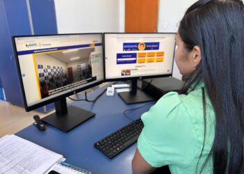 A ferramenta de interação virtual presente no site institucional da Adapec registrou mais de 2 mil acessos em um ano