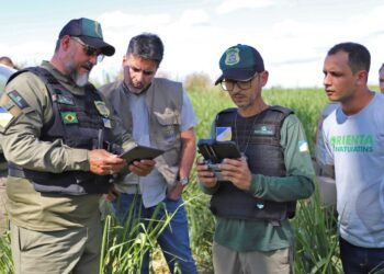 Operação de fiscalização de combate ao desmatamento ilegal (Crédito foto: Walker Ribeiro/Governo do Tocantins)