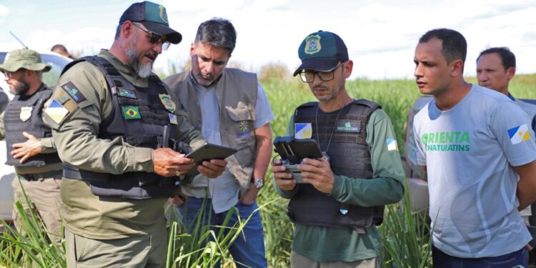 Operação de fiscalização de combate ao desmatamento ilegal (Crédito foto: Walker Ribeiro/Governo do Tocantins)