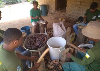 Projeto incentiva os arranjos produtivos locais e gera oportunidade trabalho e renda para as famílias