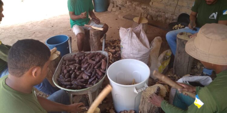 Projeto incentiva os arranjos produtivos locais e gera oportunidade trabalho e renda para as famílias